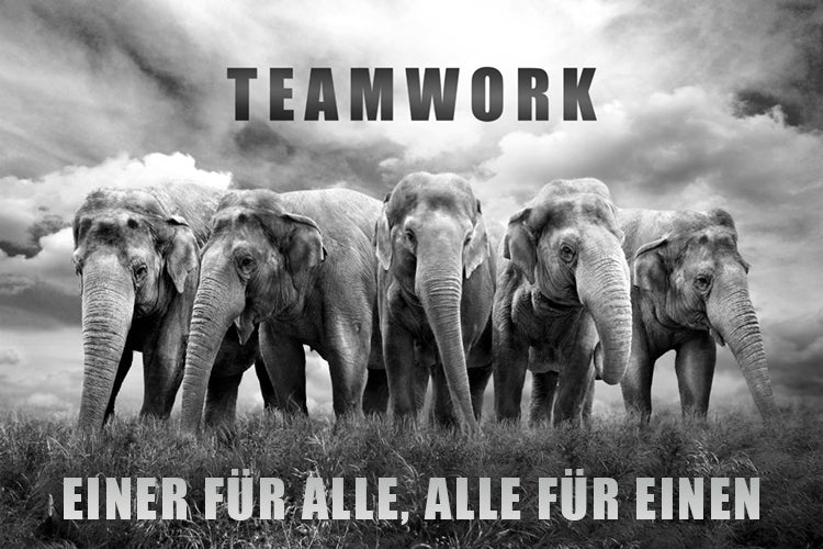 Happy-Posters: Motivationsposter Teamwork „ELEFANTEN“